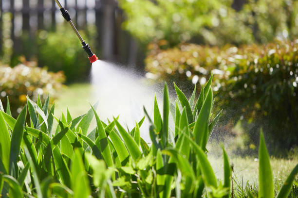 24/7 Emergency Wasp Removal experts in Shawano, WI